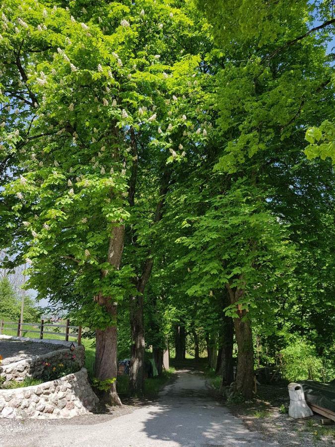 Villa Im Wald Rosshaupten Luaran gambar